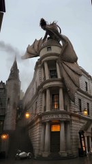 #Relaxing_عجائب_غرائب_حقائق