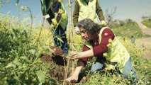 Chile: iniciativas contra el cambio climático