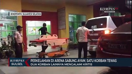 Perkelahian Di Arena Sabung Ayam, Satu Korban Tewas
