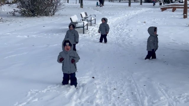 Mom iced out of her excitement after quadruplets start crying while walking in snow for the 1st time