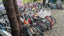 [서울] 서울시, 다음 달까지 방치 자전거 집중 수거 / YTN