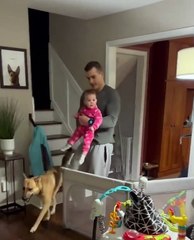 Ce bébé découvre un sapin de Noël pour la première fois !