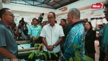Terima kasih Datuk Seri Fadillah