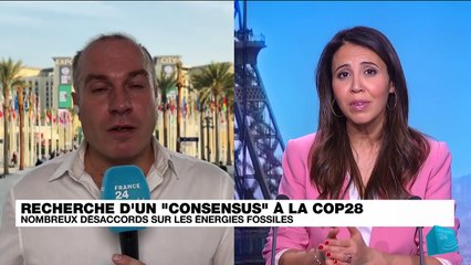 COP28 : à la recherche d'un compromis sur les énergies fossiles