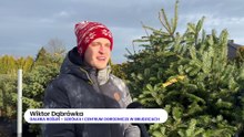 20231212_Jacek_Drozdz_NMRsko_choinka