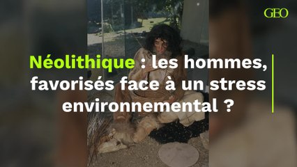 Néolithique : Comment les hommes ont-ils résisté au stress environnemental ? 🌿 - thumbnail