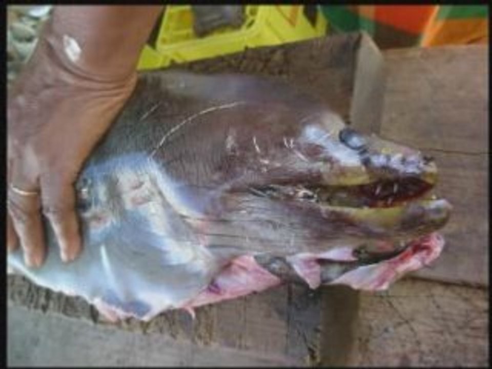 Manje matinik, produits de la martinique,