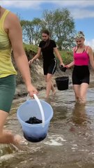 A sea Diamond! Girls cook Incredible Mussels