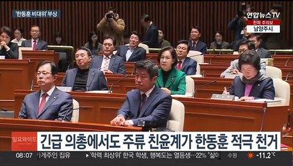 '한동훈 비대위원장' 부상…이번 주 결정될 듯