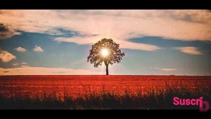 Música Relajante de Piano para Relajarse y Meditar