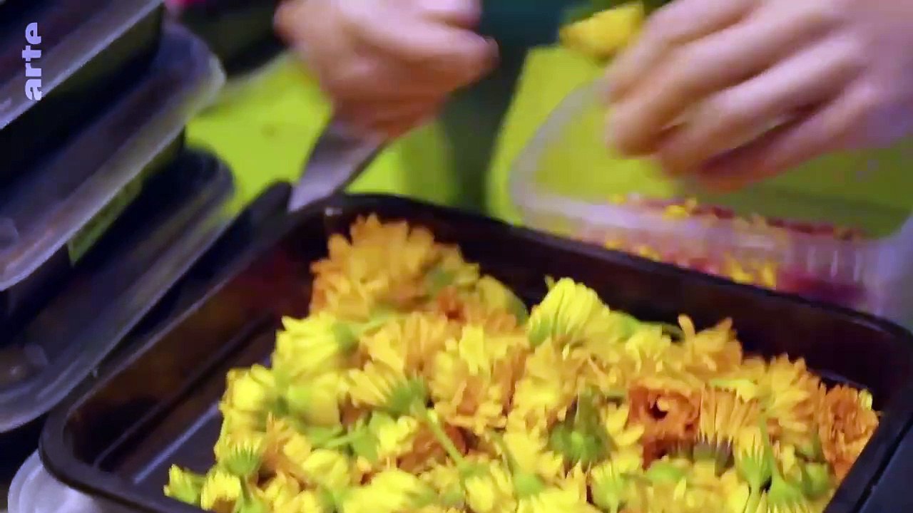 Un jardin durable - Jardin Forêt - Forêt Nourricière