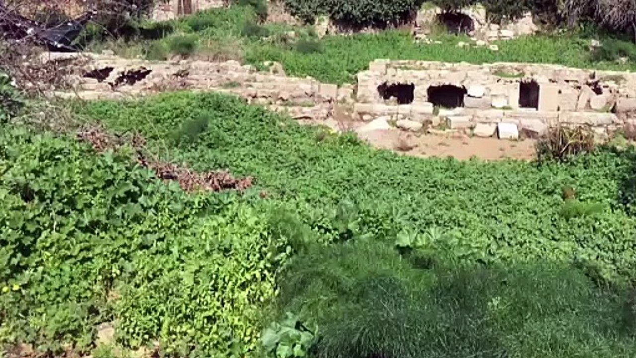 Gümüşlük-05.02.2021-R_0