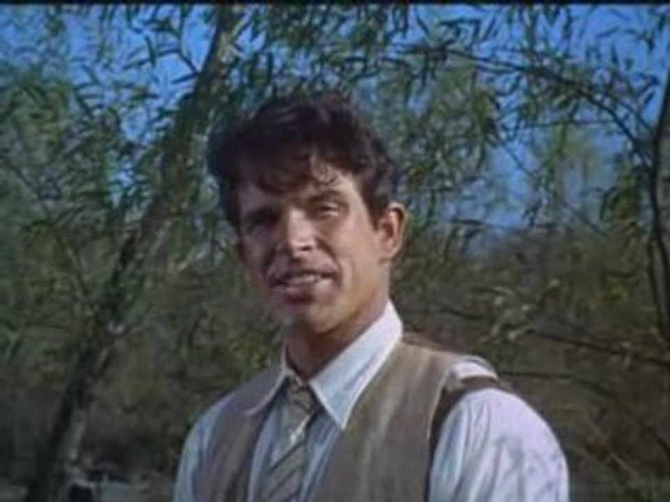 Bonnie and Clyde (1967)