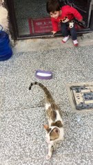 طفل عراقي يلعب مع القط الوديع - طفل عراقي علوش