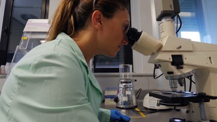Medicina anno zero: come sta cambiando l'industria dei farmaci