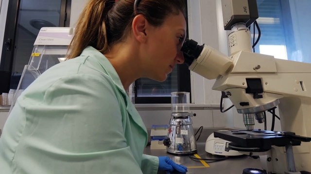 Medicina anno zero: come sta cambiando l'industria dei farmaci
