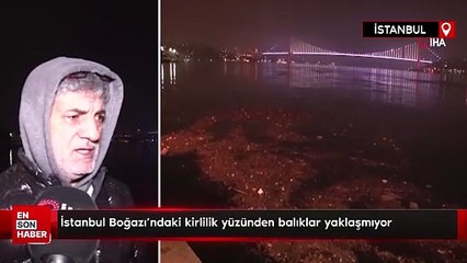 İstanbul Boğazı'ndaki kirlilik yüzünden balıklar yaklaşmıyor