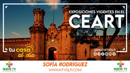 Arte en Foco: Exposiciones Vigentes en el CEART