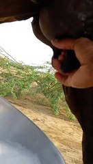 نمط القفل رائع 