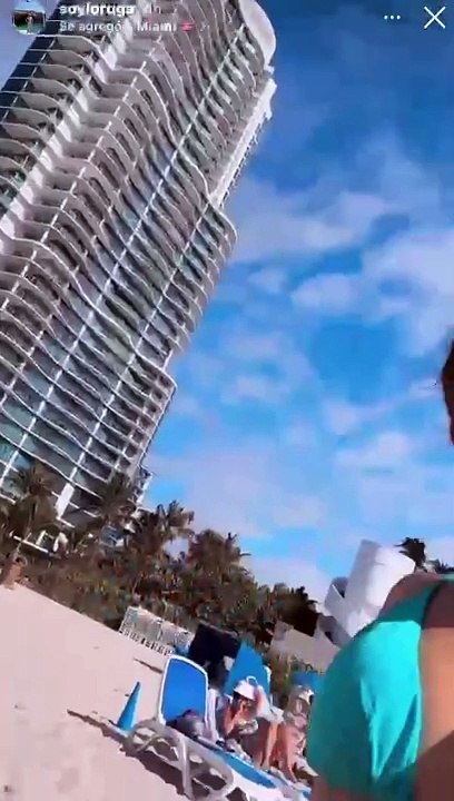 ¡Tiburón! 'Soyloruga' pasa tremendo susto en Miami