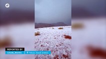 Desert turns white after heavy hailstorm in Tabuk, Saudi Arabia