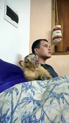 Sleepy Monkey Nods Off on Mom