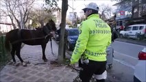 Başıboş kalan at trafiği birbirine kattı!
