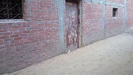 سمير الشرقاوي بتاع انابيب ضحك للركب مسخره الله الوكيل