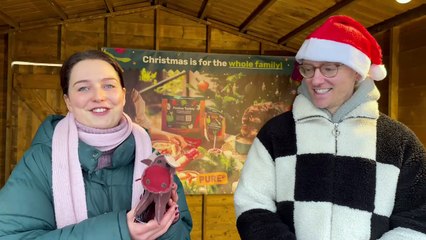 What are your favourite Christmas traditions?