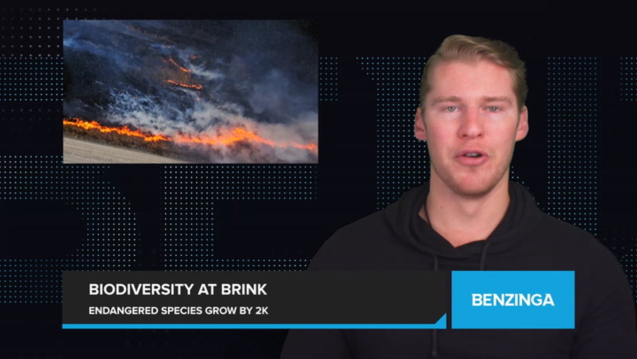 Endangered Species List Grows: Over 2,000 Species Now at Risk, Says International Union for Conservation of Nature