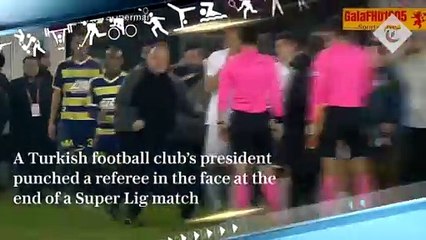 [스포츠영상] 구단주가 심판에 주먹질…팬은 얼굴에 발차기