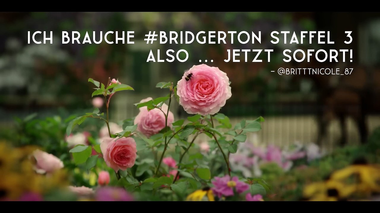 Bridgerton Staffel 3