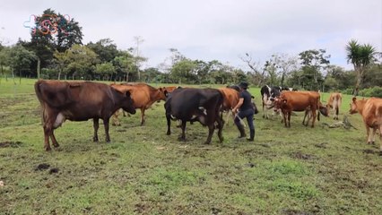 mqn-Esta mujer continúa el sueño de su padre liderando un proyecto agrícola 100% ecológico-121223