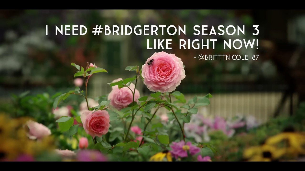 Bridgerton S03