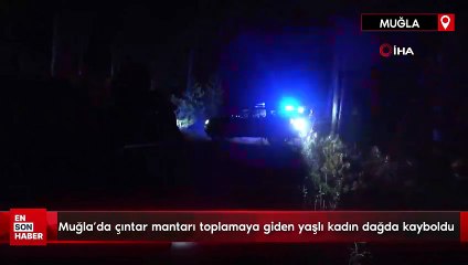 Muğla’da çıntar mantarı toplamaya giden yaşlı kadın dağda kayboldu