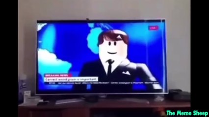 Try Not To Die Laughing 4 (MemeSheep Reupload)