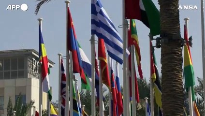 Cop28, il presidente al Jaber: "Il fallimento non e' un'opzione"