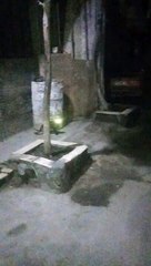 وانا راجع بالليل متأخر بعد الفجر رأيت قط شيطان كان يصعد إلي شجرة وينظر إلي أعلي لا أعرف لماذا