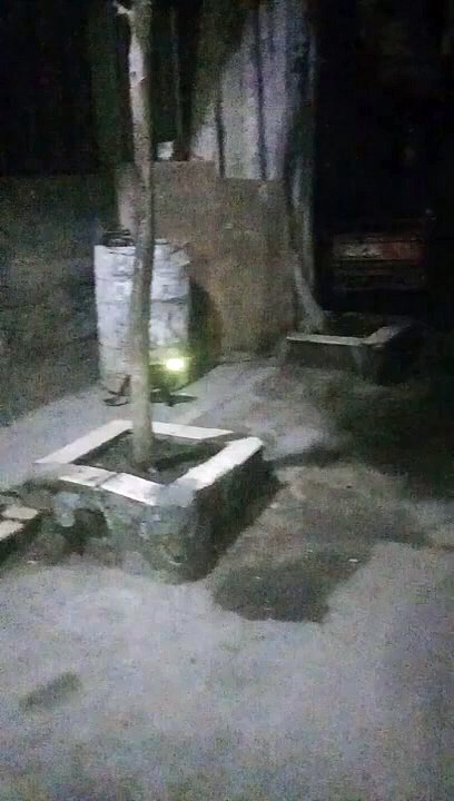 وانا راجع بالليل متأخر بعد الفجر رأيت قط شيطان كان يصعد إلي شجرة وينظر إلي أعلي لا أعرف لماذا