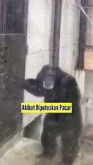 Parah!!! Mabuk-mabuk Akibat Putus Pacar