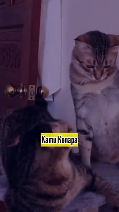 Akibat Selingkuh Dipukul Pasangan Sampai Minta Tolong