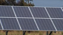 Council approves application for Tassie solar power farm