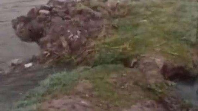 सवाई माधोपुर: ओवरफ्लो होकर टूटी मोरल बांध नहर, मचा हड़कंप, खेतों में भरा पानी