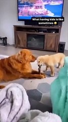 It's not easy to be parent