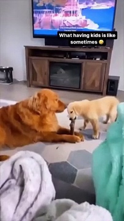 It's not easy to be parent