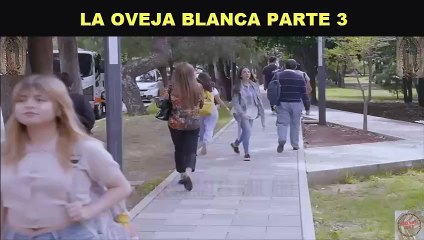 Descubre el Emotivo Comienzo: La Oveja Blanca - Parte 3 | La Rosa de Guadalupe