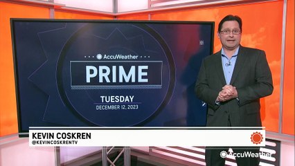 How to keep your pets safe this holiday season