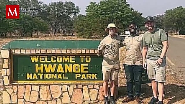 Alerta roja en la naturaleza: Muerte masiva de elefantes por sequía en África