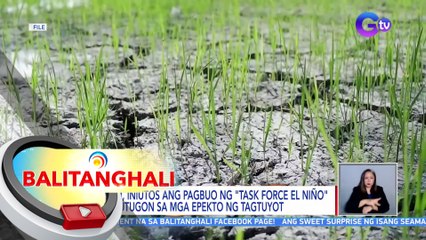 PBBM, iniutos ang pagbuo ng "Task Force El Niño" na tutugon sa mga epekto ng tagtuyot | BT