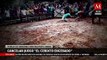 Asociación animalista logra eliminar juego de maltrato animal en Puebla